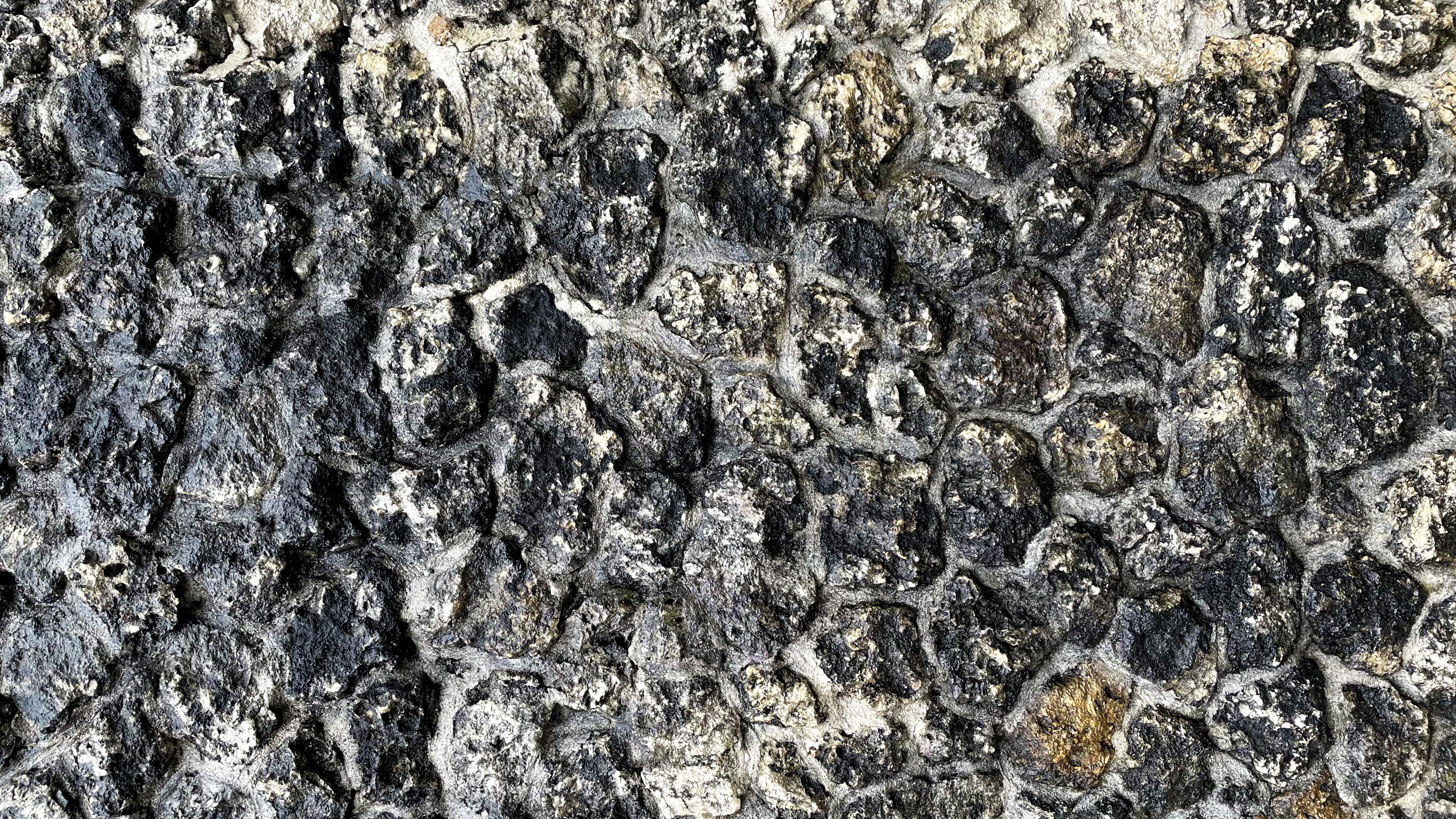 Sơn Giả Đá / Sơn Trang Trí – Giải Pháp Tăng Thẩm Mỹ Và Điểm Nhấn Cho Công Trình